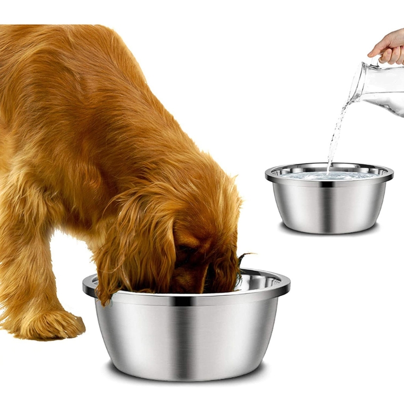 Royal Canin Food Medium - Ciotole per Cani in Acciaio Inox