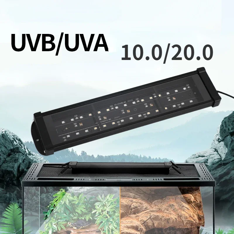 Lampada UV a LED a spettro com - Calcium Powder Reptile recensione e prezzo
