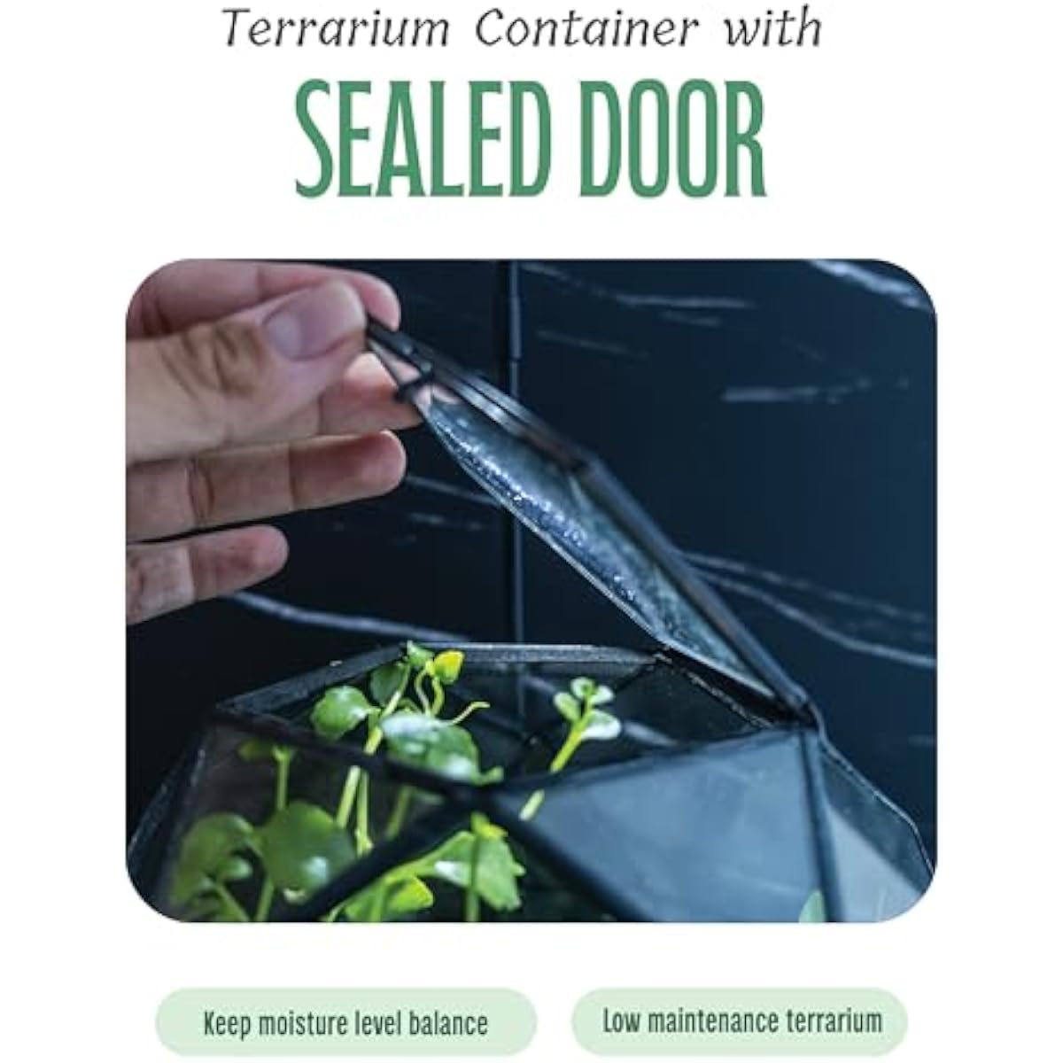 Terrario a forma di sfera geom - Glass Door Hinge recensione e prezzo