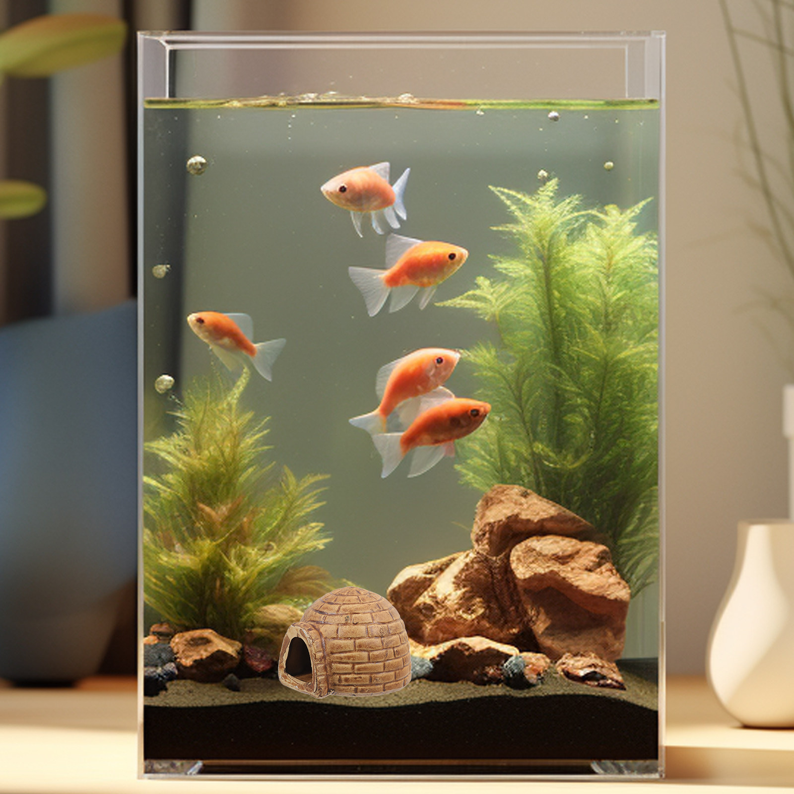Nascondigli in Ceramica Premiu - Hide Cave Ceramic recensione e prezzo
